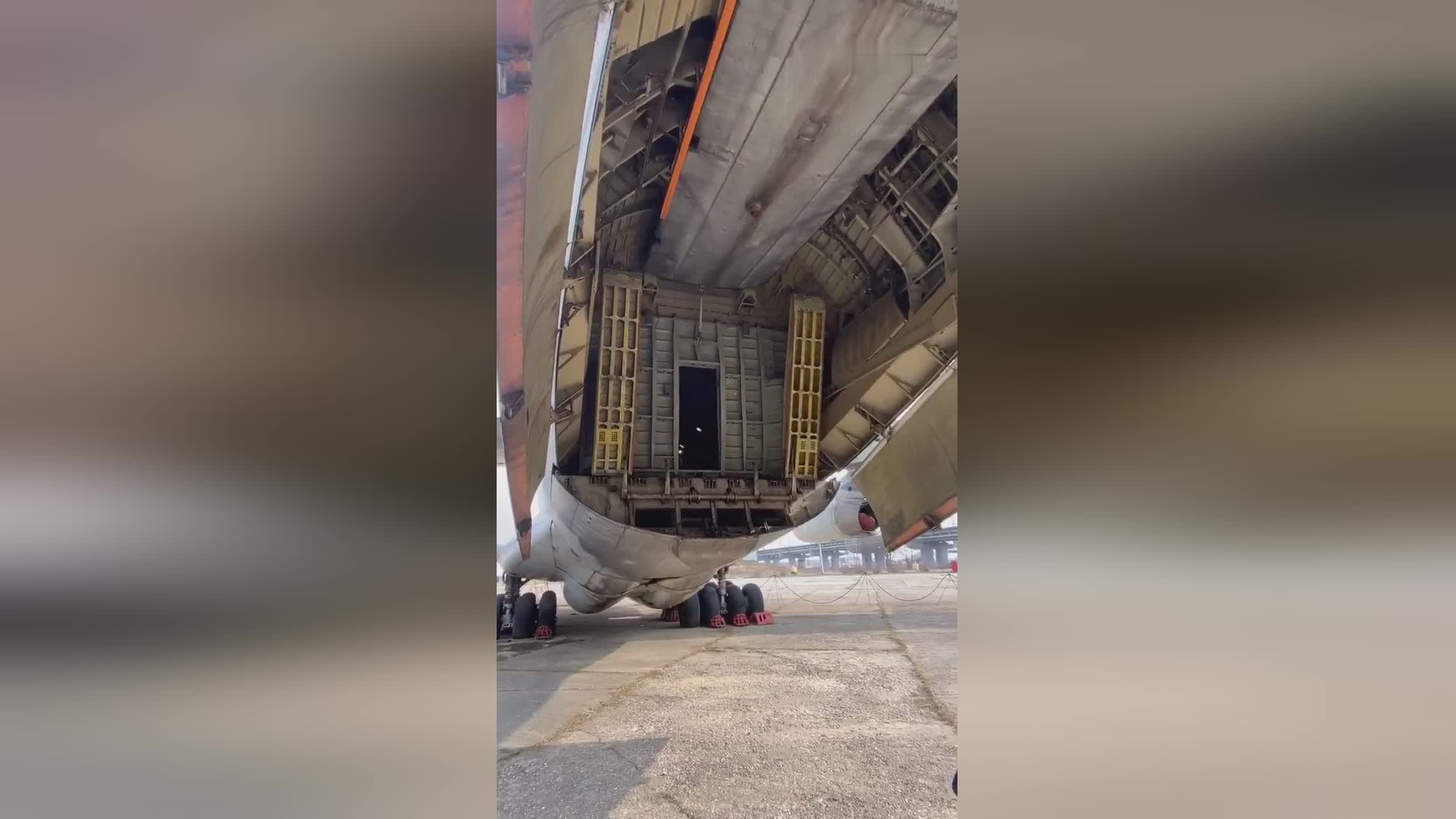 以假乱真：赝品的真实故事 视频海报