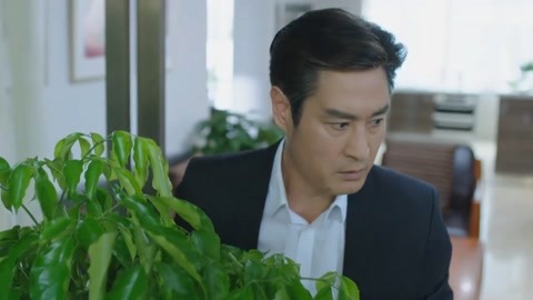 他马克老板 视频缩略图