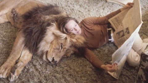 你们这些混蛋 视频缩略图