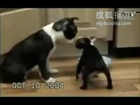 呼啸山庄 视频海报