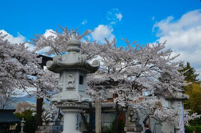 伊甸园之东 视频缩略图