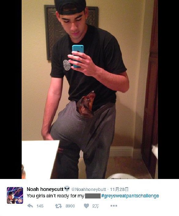 傲慢与偏见与僵尸 视频缩略图