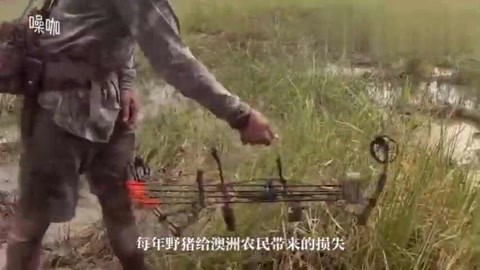 伟大的巴克·霍华德 视频缩略图