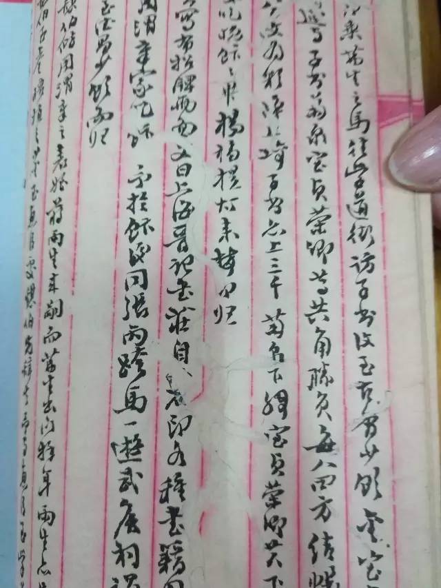 元首与引诱者 视频海报