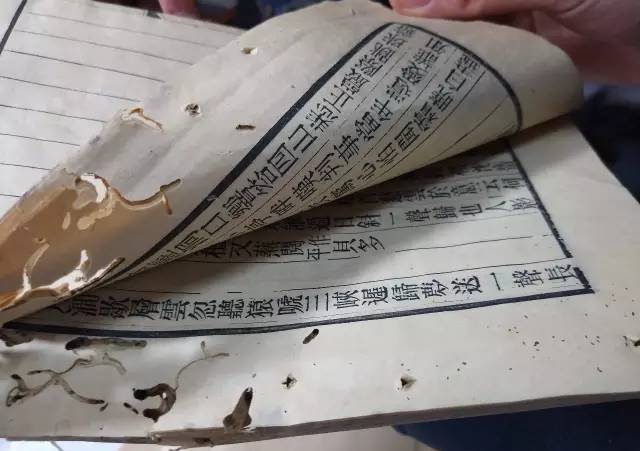 你们所有人的脸