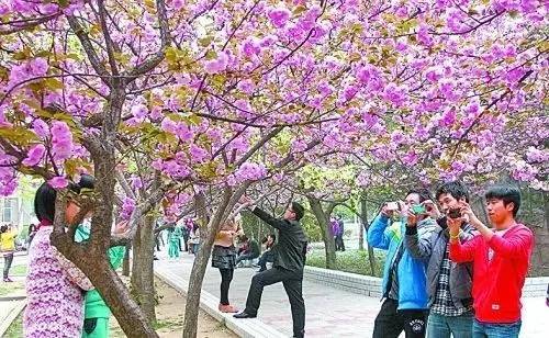 佩尔德利 视频缩略图