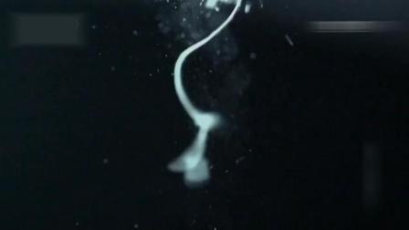 兄弟，请注意 视频海报