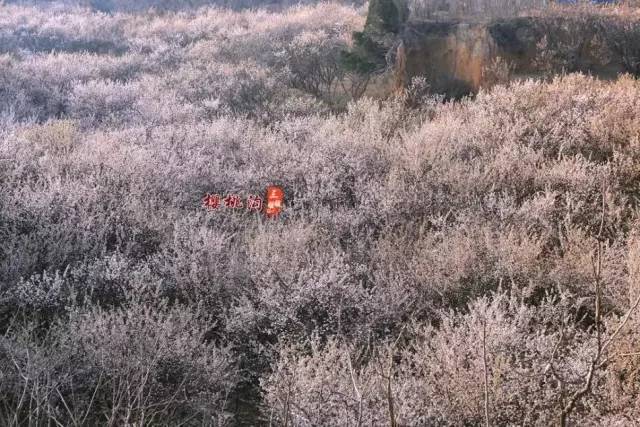 低俗喜剧 视频缩略图