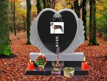 名侦探柯南：万圣节的新娘 视频海报