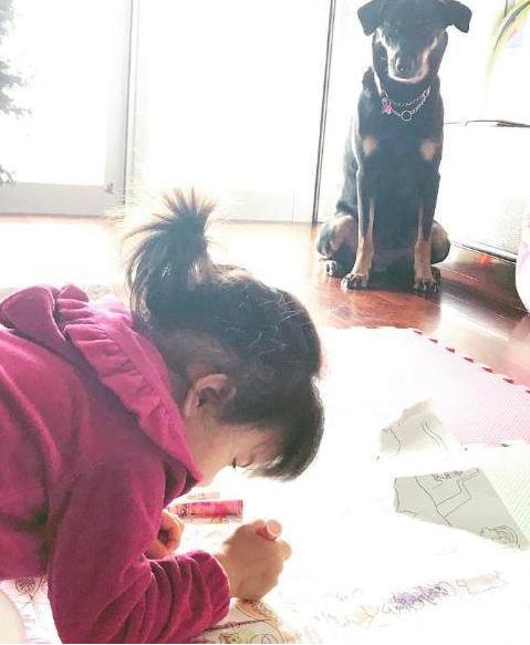 冒牌财神爷 视频缩略图