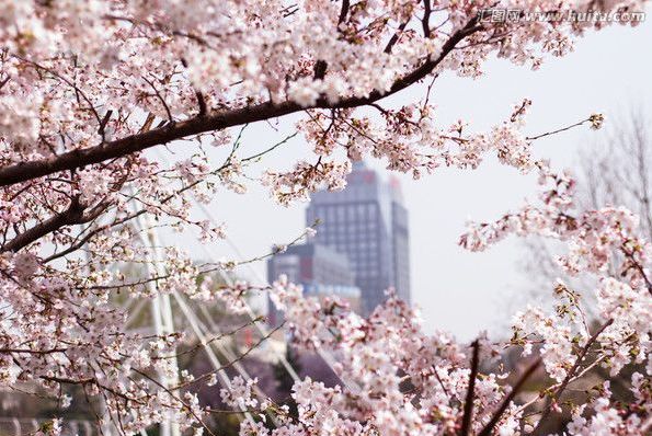 偷天换爱 视频缩略图