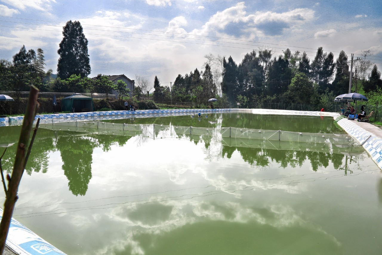 伤物语 -历与吸血鬼 视频缩略图