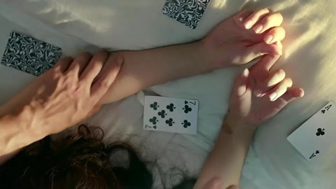 佛罗里达乐园 视频缩略图