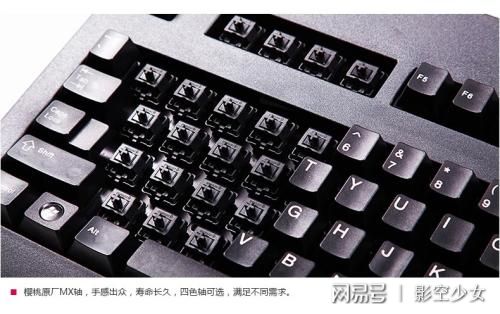 侠肝义犬（国语版） 视频海报