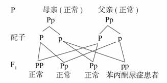 侏罗纪世界3 视频缩略图